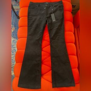 Black velvet flairs 36W